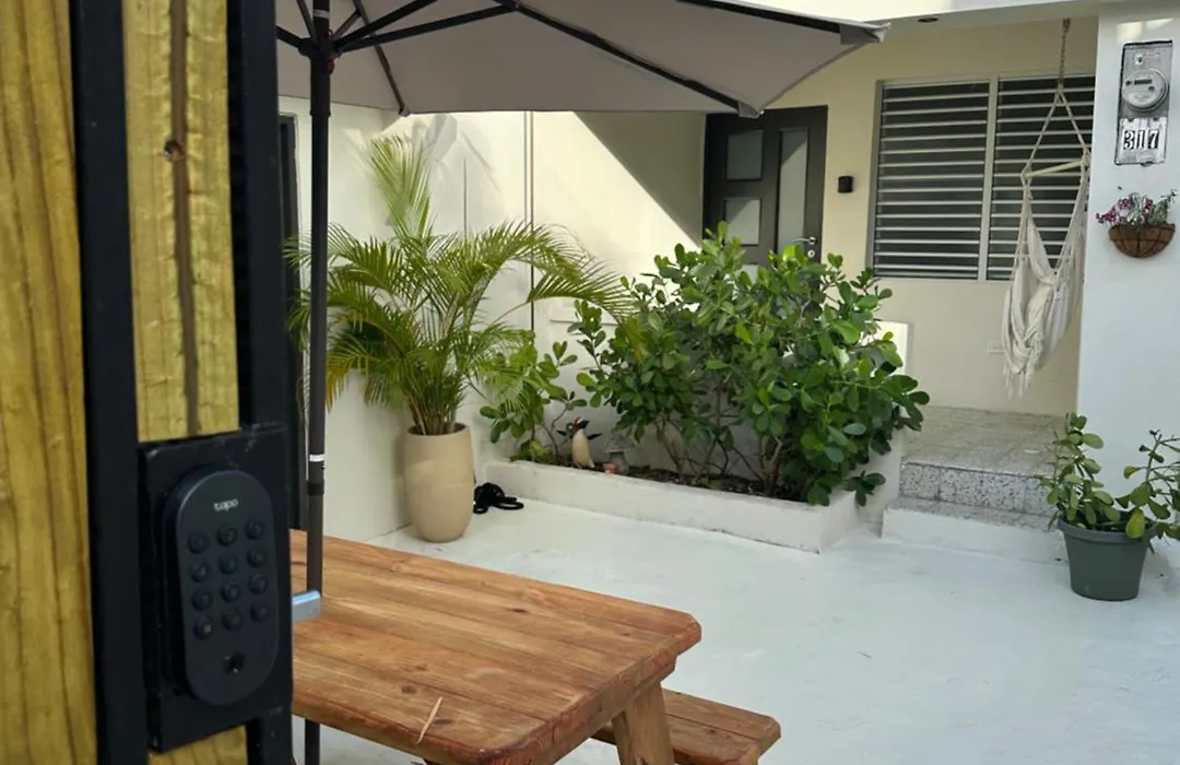 Tropical Studio-1
